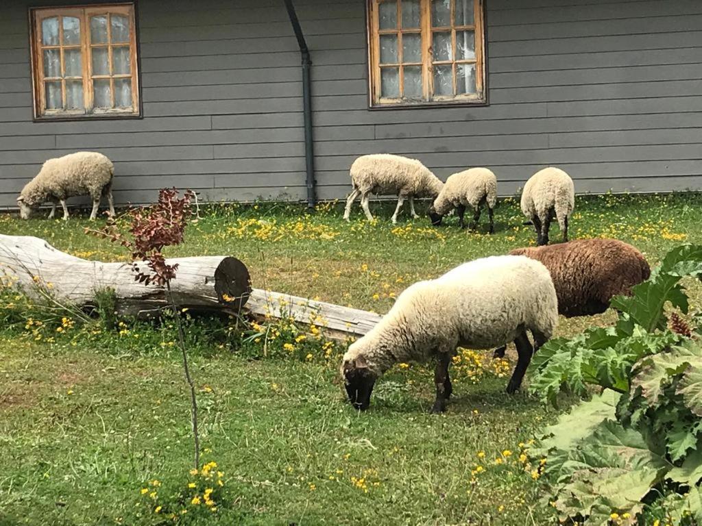 Parque La Pajarera Hotel Puerto Varas Bagian luar foto