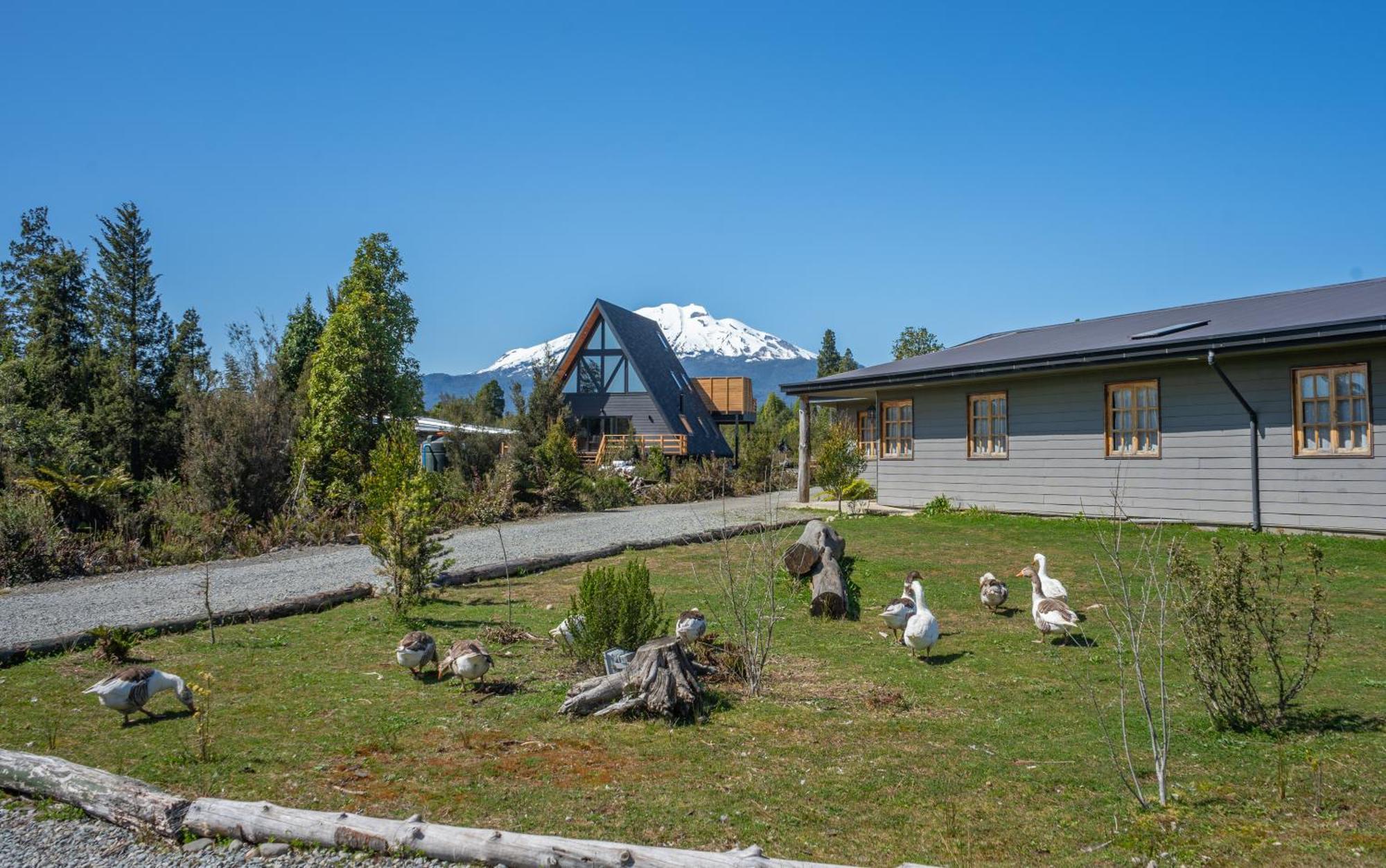 Parque La Pajarera Hotel Puerto Varas Bagian luar foto